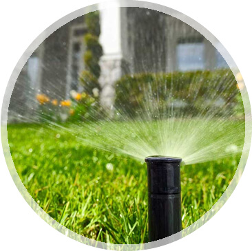 SPRINKLER REPLACEMENT